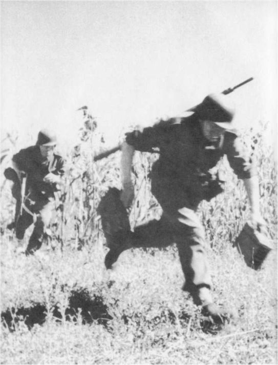 Wehrmacht. Сухопутные войска III Рейха Wehrmacht. Сухопутные войска III Рейха