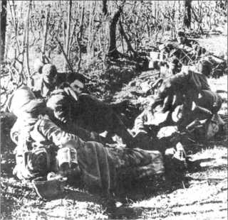 Wehrmacht. Сухопутные войска III Рейха Wehrmacht. Сухопутные войска III Рейха