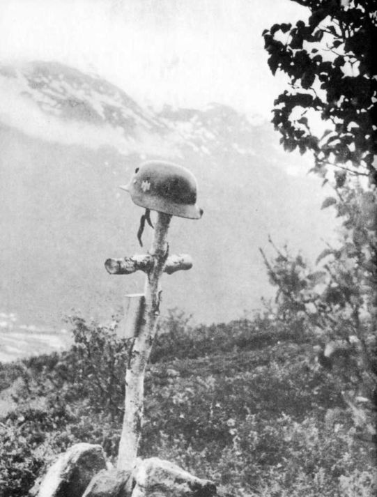 Wehrmacht. Сухопутные войска III Рейха Wehrmacht. Сухопутные войска III Рейха