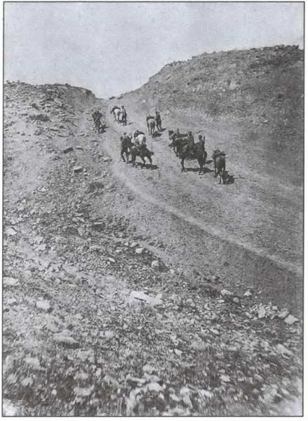 Великая война на Кавказском фронте. 1914-1917 гг. Великая война на Кавказском фронте. 1914-1917 гг.