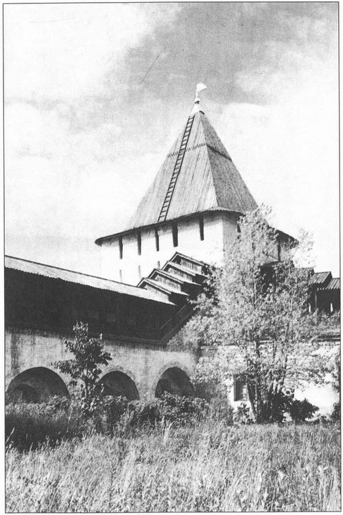 Твердыни России. От Новгорода до Порт-Артура Твердыни России. От Новгорода до Порт-Артура