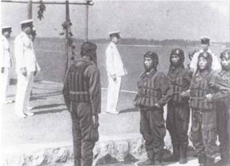 Японская императорская военно-морская авиация. 1937-1945 Японская императорская военно-морская авиация. 1937-1945