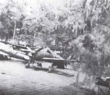 Японская императорская военно-морская авиация. 1937-1945 Японская императорская военно-морская авиация. 1937-1945