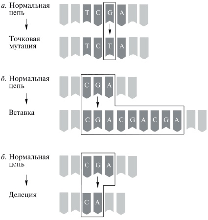 Мой неповторимый геном Мой неповторимый геном
