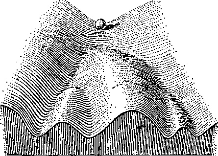 Эпигенетика. Как современная биология переписывает наши представления о генетике, заболеваниях и наследственности Эпигенетика. Как современная биология переписывает наши представления о генетике, заболеваниях и наследственности