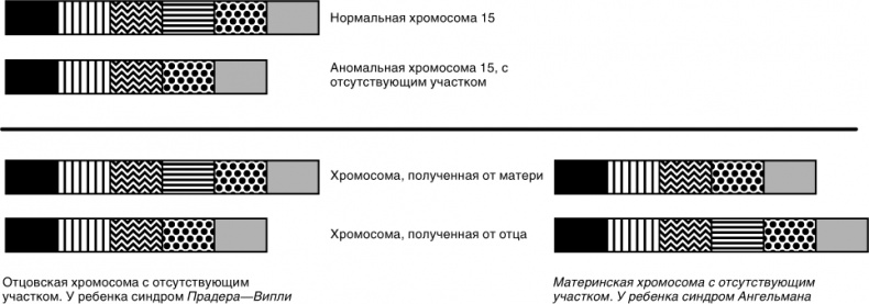 Эпигенетика. Как современная биология переписывает наши представления о генетике, заболеваниях и наследственности Эпигенетика. Как современная биология переписывает наши представления о генетике, заболеваниях и наследственности