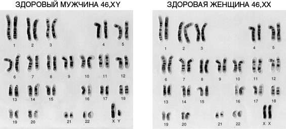 Эпигенетика. Как современная биология переписывает наши представления о генетике, заболеваниях и наследственности Эпигенетика. Как современная биология переписывает наши представления о генетике, заболеваниях и наследственности