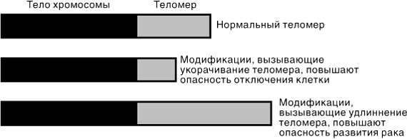 Эпигенетика. Как современная биология переписывает наши представления о генетике, заболеваниях и наследственности Эпигенетика. Как современная биология переписывает наши представления о генетике, заболеваниях и наследственности
