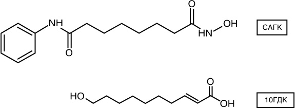 Эпигенетика. Как современная биология переписывает наши представления о генетике, заболеваниях и наследственности Эпигенетика. Как современная биология переписывает наши представления о генетике, заболеваниях и наследственности