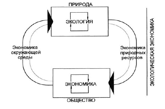 Основы геоэкологии Основы геоэкологии
