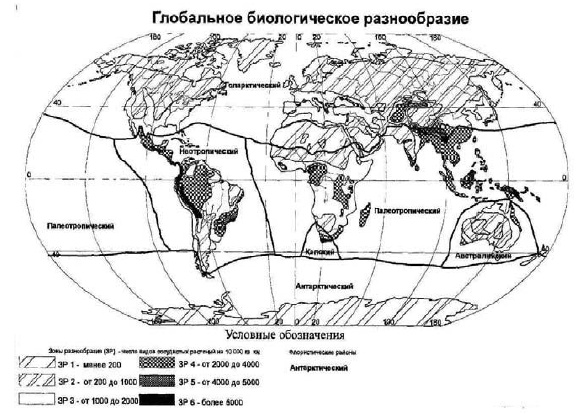 Основы геоэкологии Основы геоэкологии