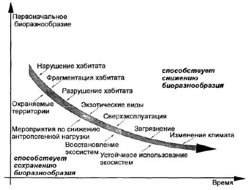 Основы геоэкологии Основы геоэкологии