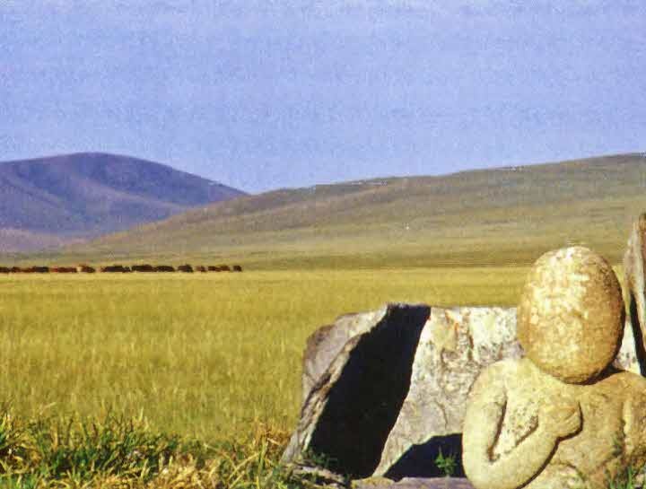 Следы в пустыне Следы в пустыне
