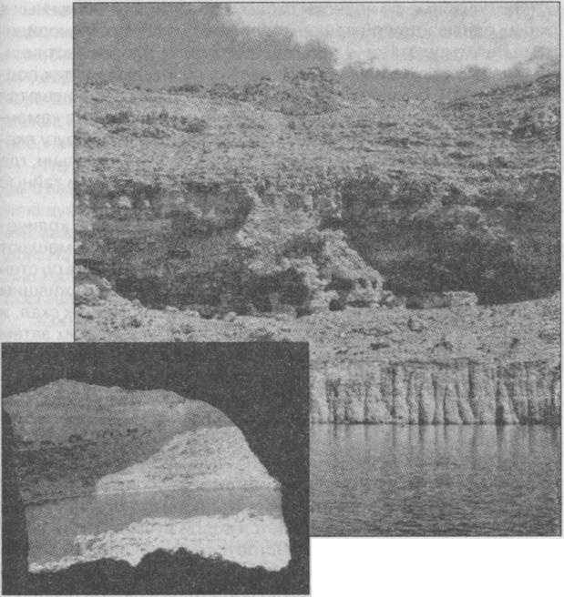 Тайны подземного мира Тайны подземного мира