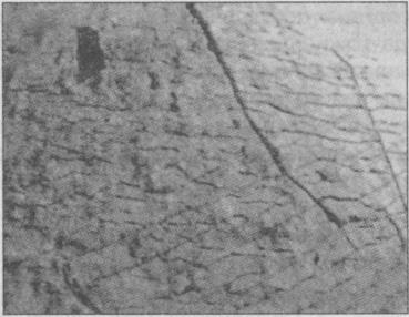 Тайны подземного мира Тайны подземного мира