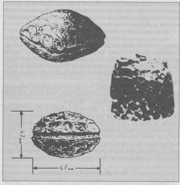 Тайны подземного мира Тайны подземного мира