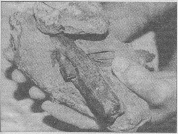 Тайны подземного мира Тайны подземного мира