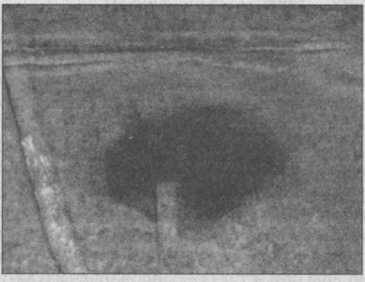 Тайны подземного мира Тайны подземного мира