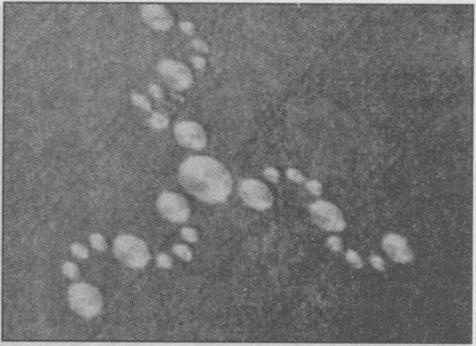 Тайны подземного мира