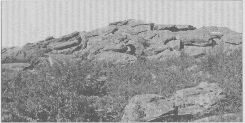 Тайны подземного мира