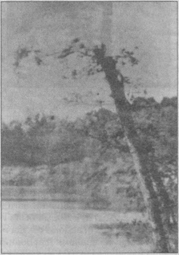 Тайны подземного мира