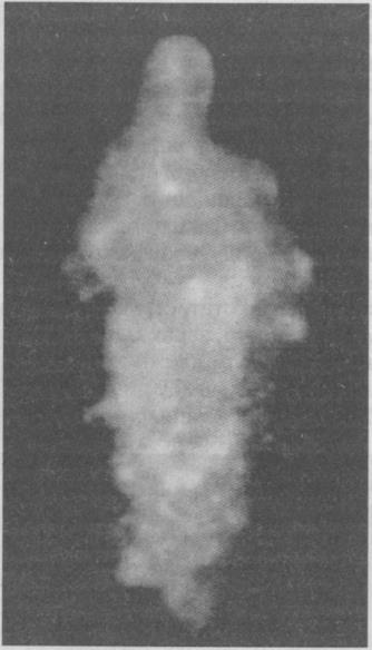 Тайны подземного мира Тайны подземного мира