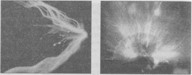 Тайны подземного мира Тайны подземного мира