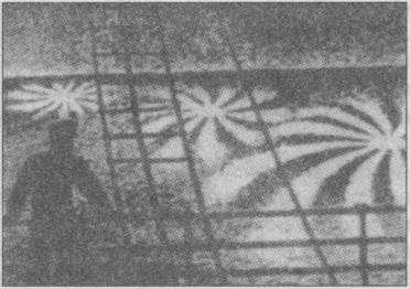 Тайны подземного мира Тайны подземного мира