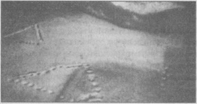 Тайны подземного мира Тайны подземного мира