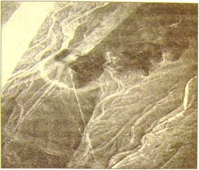 Пустыня Наска. Следы иного разума Пустыня Наска. Следы иного разума