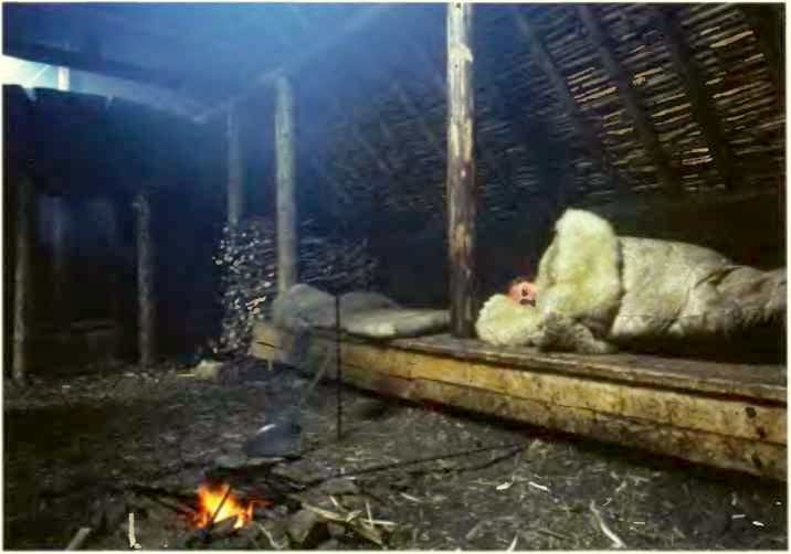 Викинги. Мореплаватели, пираты и воины Викинги. Мореплаватели, пираты и воины