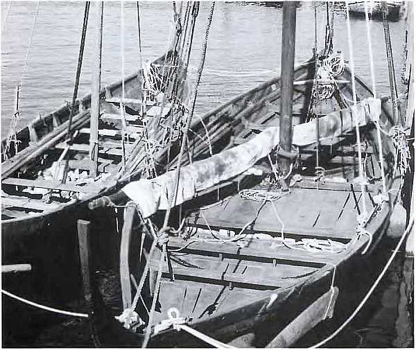 Викинги. Мореплаватели, пираты и воины Викинги. Мореплаватели, пираты и воины