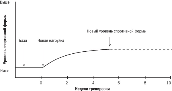 От 800 метров до марафона От 800 метров до марафона