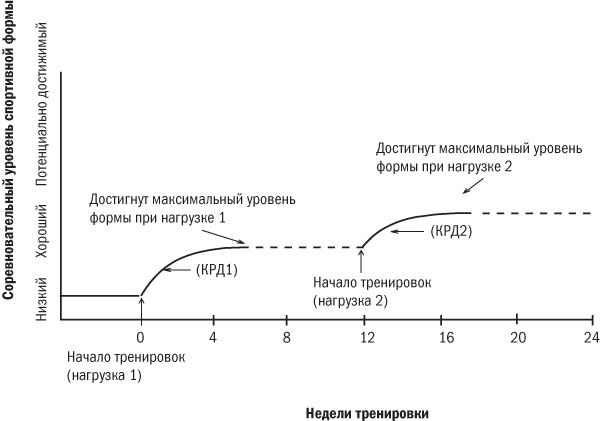 От 800 метров до марафона От 800 метров до марафона