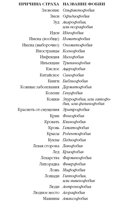 История мозга. 1640 фактов История мозга. 1640 фактов