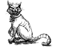 История мозга. 1640 фактов История мозга. 1640 фактов