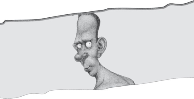 История мозга. 1640 фактов История мозга. 1640 фактов