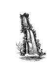 История мозга. 1640 фактов История мозга. 1640 фактов