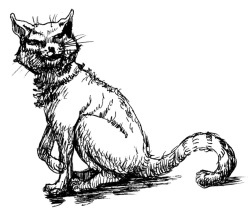 История мозга. 1640 фактов История мозга. 1640 фактов