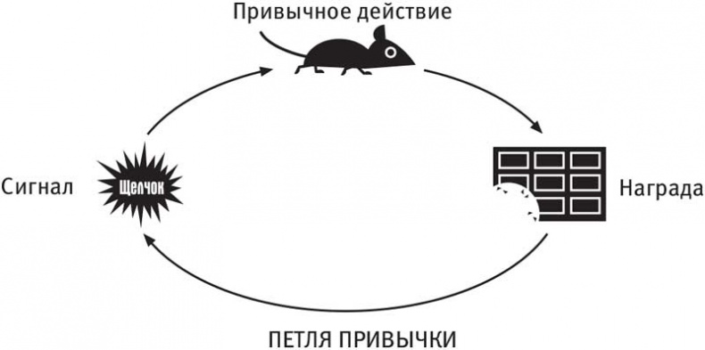 Власть привычки. Почему мы живем и работаем именно так, а не иначе Власть привычки. Почему мы живем и работаем именно так, а не иначе
