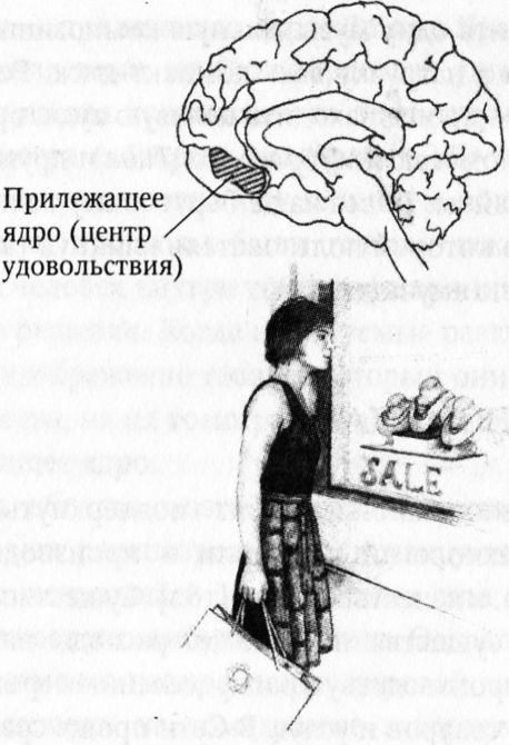 Мозг онлайн. Человек в эпоху Интернета Мозг онлайн. Человек в эпоху Интернета