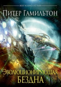 Эволюционирующая Бездна - Питер Гамильтон - Читать книги онлайн | Слушать аудиокниги онлайн | Электронная библиотека books-lib.com