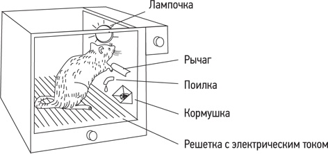 Психология. Люди, концепции, эксперименты Психология. Люди, концепции, эксперименты