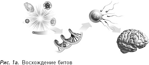 Программируя Вселенную. Квантовый компьютер и будущее науки Программируя Вселенную. Квантовый компьютер и будущее науки