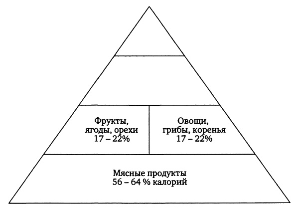 Здоровая пища - поиски идеала. Есть ли золотая середина в запутанном мире диет? Здоровая пища - поиски идеала. Есть ли золотая середина в запутанном мире диет?