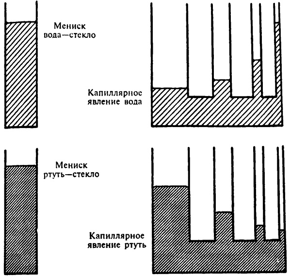 Популярная физика. От архимедова рычага до квантовой теории Популярная физика. От архимедова рычага до квантовой теории