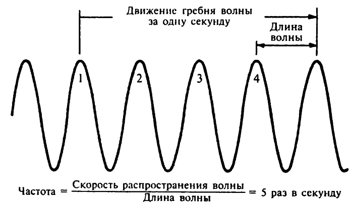 Популярная физика. От архимедова рычага до квантовой теории Популярная физика. От архимедова рычага до квантовой теории