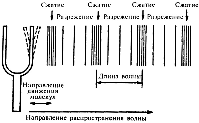Популярная физика. От архимедова рычага до квантовой теории Популярная физика. От архимедова рычага до квантовой теории