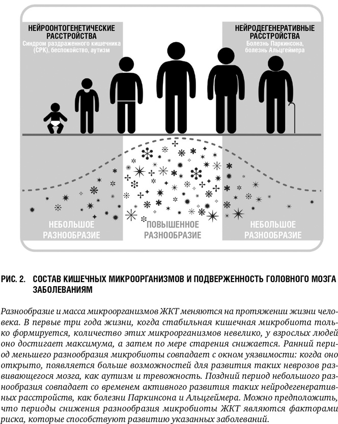Второй мозг: Как микробы в кишечнике управляют нашим настроением, решениями и здоровьем Второй мозг: Как микробы в кишечнике управляют нашим настроением, решениями и здоровьем