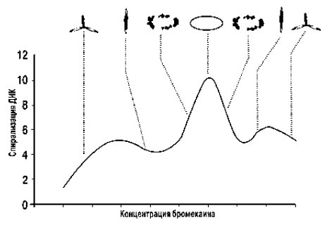 Мораль XXI века Мораль XXI века